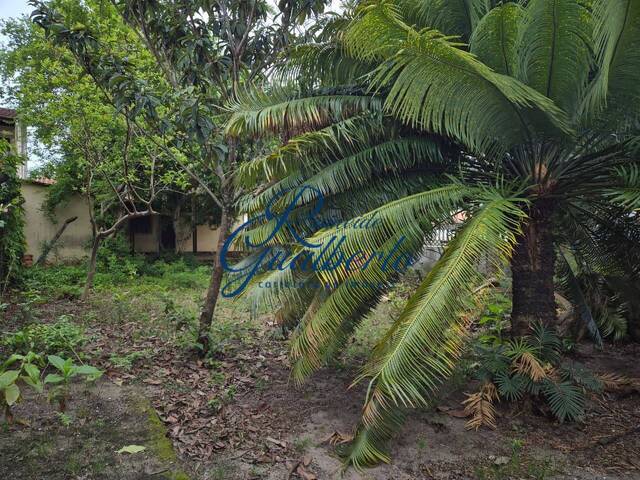 Edícula para Venda em Caraguatatuba - 5