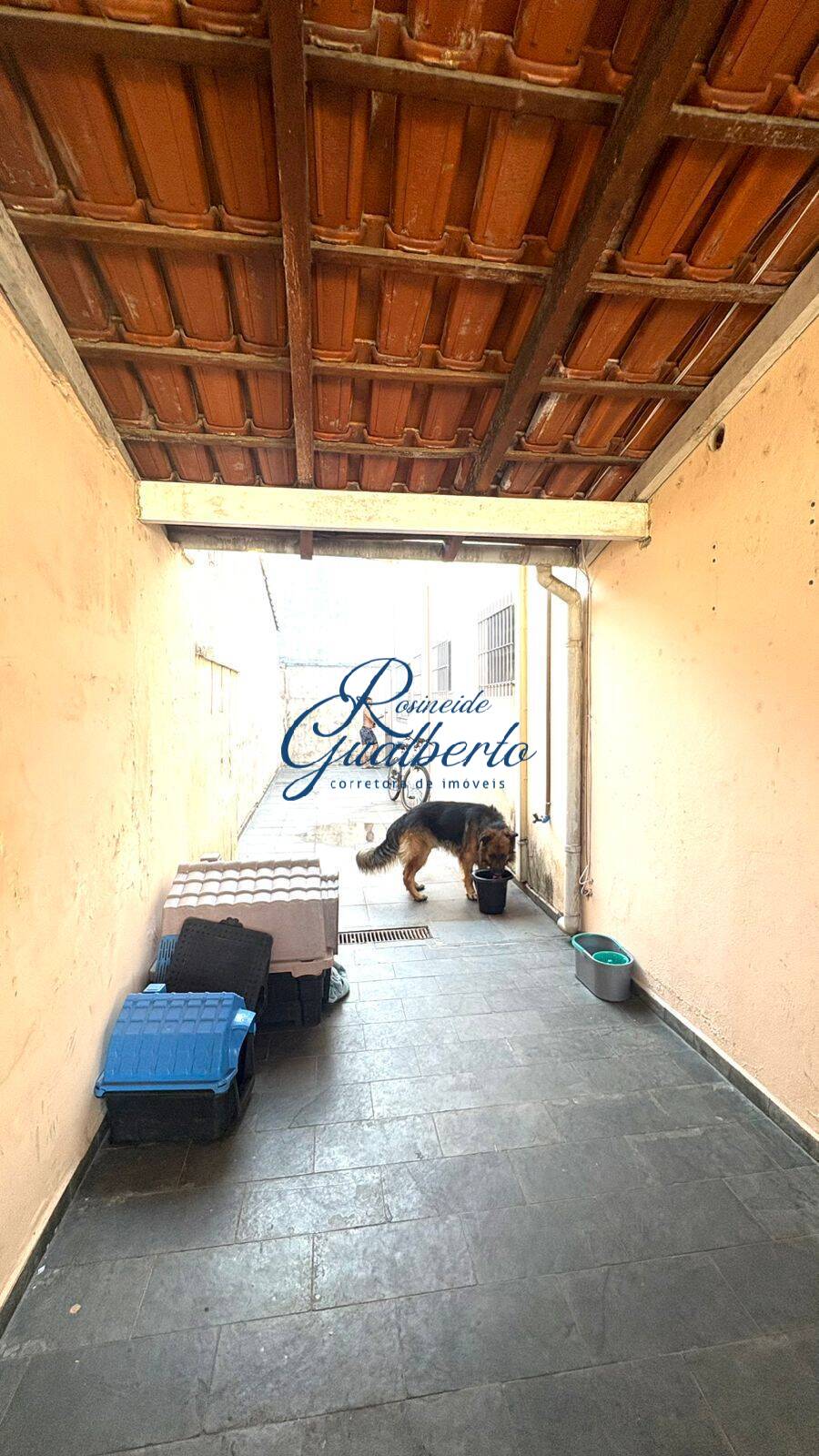 Casa, 3 quartos, 253 m² - Foto 15