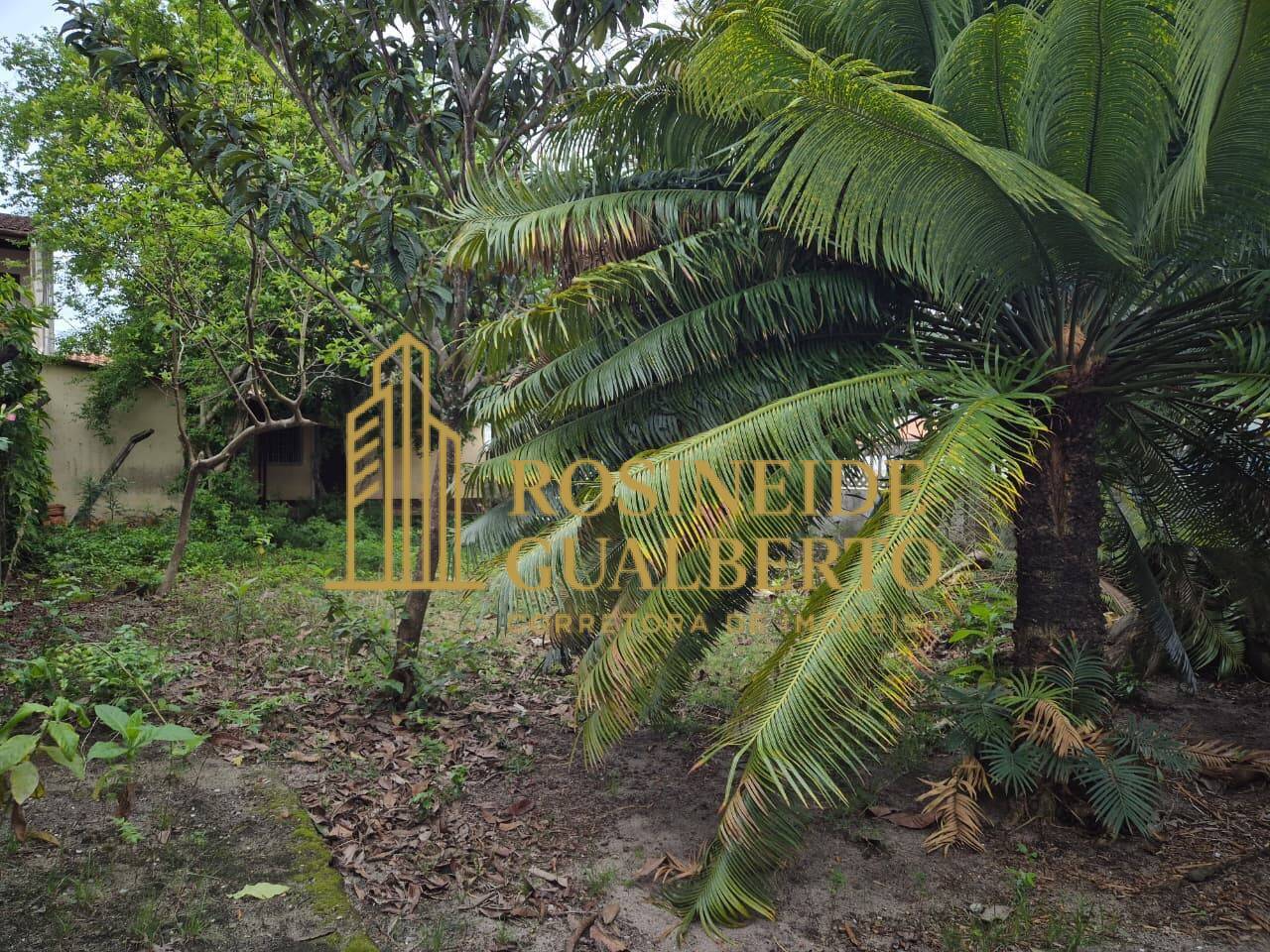 Casa, 2 quartos, 80 m² - Foto 5