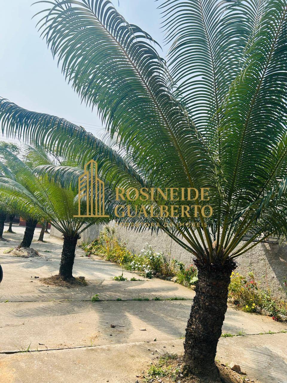 Casa, 5 quartos, 370 m² - Foto 16