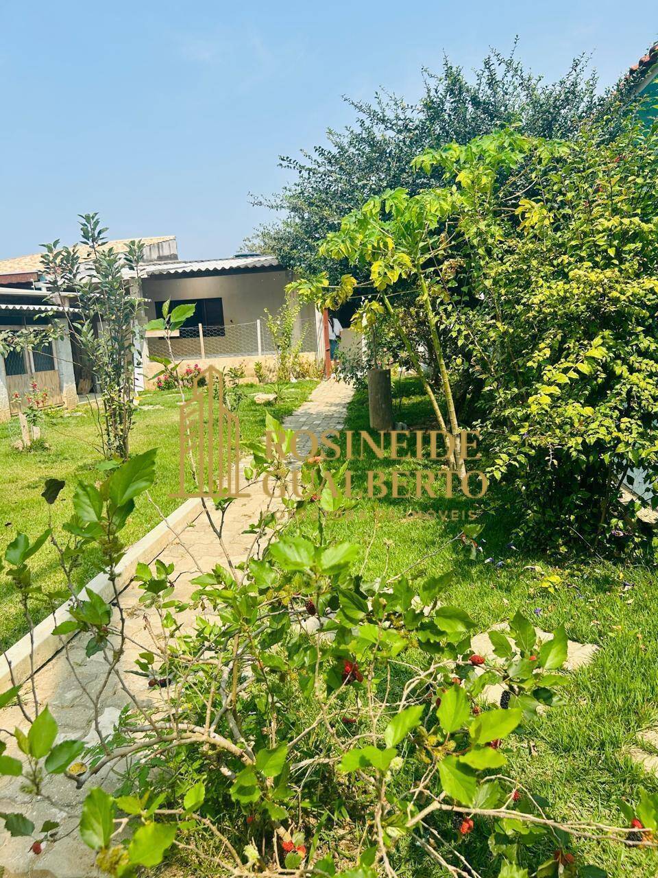 Casa, 5 quartos, 370 m² - Foto 19